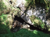 irlandia100