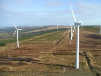 irlandia116