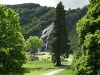 irlandia127