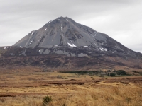 irlandia131