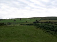 irlandia24
