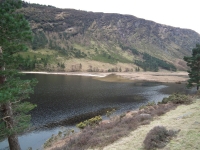 irlandia41