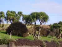 irlandia63