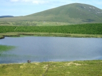 irlandia84