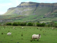 irlandia98