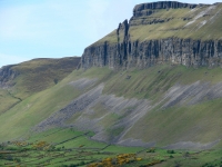 irlandia99