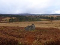 p1000665