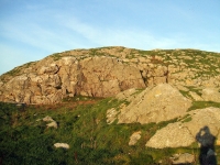 ie20