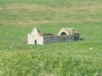 ie24