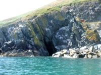bray-greystones14