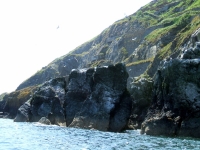 bray-greystones5