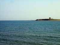 rockabill1