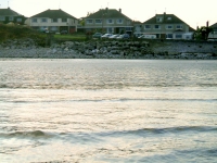 rockabill12