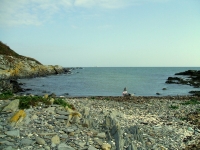 rockabill2