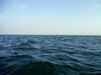 rockabill3