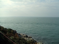 rockabill7