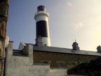 rockabill8