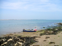 li1