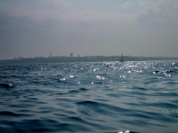 li34