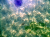 li9