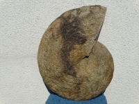 DSC08256