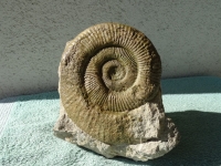 DSC08300