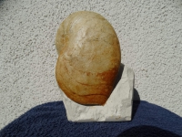 DSC08306