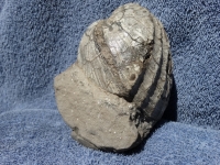 DSC08379