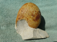 DSC08617