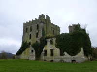 p1000798