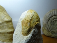 R1-3